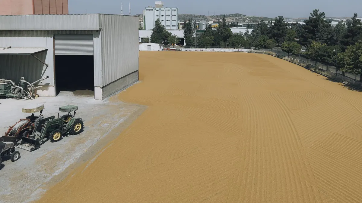 Producto almacenado a granel sobre el piso bajo una cubierta amplia